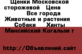 Щенки Московской сторожевой › Цена ­ 35 000 - Все города Животные и растения » Собаки   . Ханты-Мансийский,Когалым г.